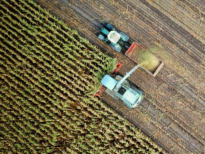 Храна све калоричнија али неквалитетнија због пораста употребе угљен-диоксида у узгоју