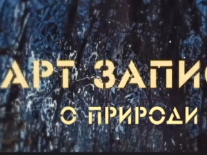 Арт записи о природи