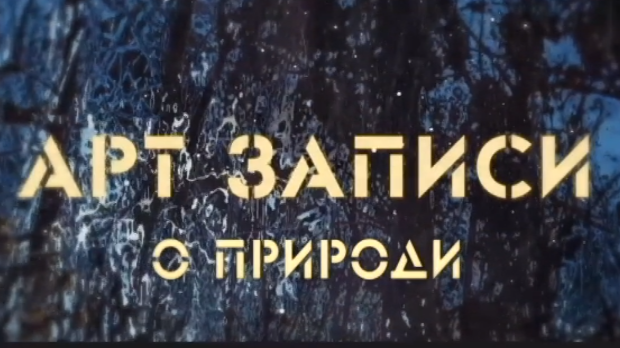 Арт записи о природи