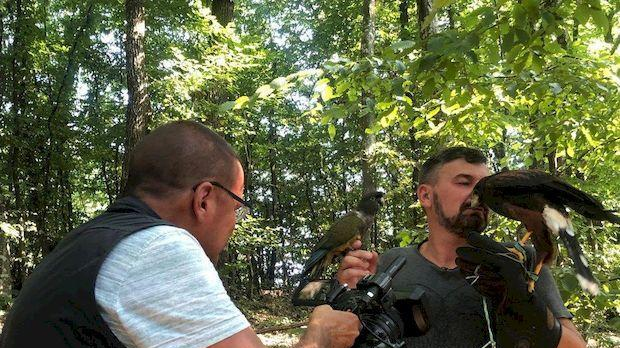 Екологери: Стапари