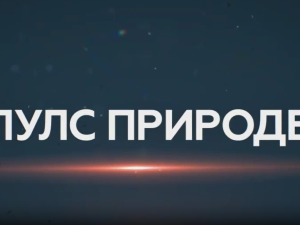 Пулс природе- Аранђеловац