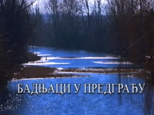 Српски источници: Бадњаци у предрађу