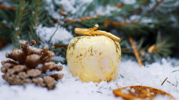 Од злата јабука: Издања и концерти у 2025. години