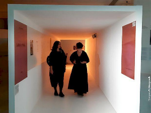 Метаморфозе: Јелена Стокућа 