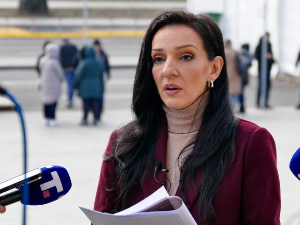 Мариника Тепић прочитала "оптужницу" против Владимира Мандића