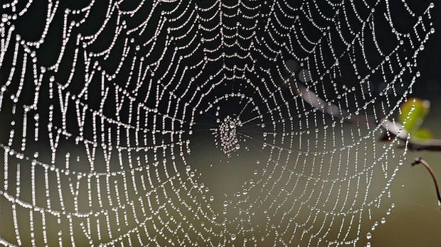 Драмски програм: Маријана Ћулић Вићентић: Прича о несуђеним љубавницима