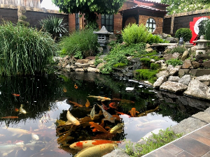 Екологери: Суботичка зен башта