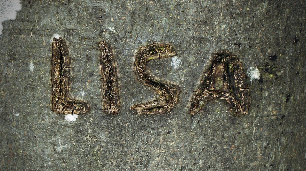 Новогодишњи музички маратон 202: Женска имена луда налазе се свуда