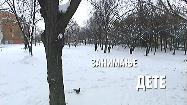 Занимање дете:	Огњен Пипер