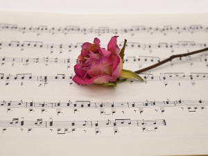 Валцери Јохана Штрауса Млађег