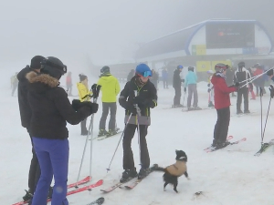 Скијаши похрлили на Копаоник и поред неповољних временских прилика