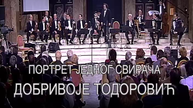 Портрет једног свирача