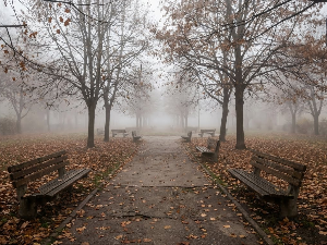 Ујутру магла, током дана облачно – температура до осам степени