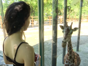 Тајне људског тела: Скелетни систем