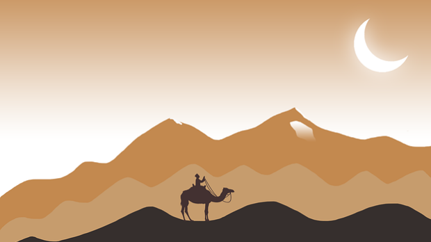 Караван: Хумористичка емисија