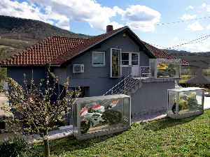 Родославци: Приче из Даросаве