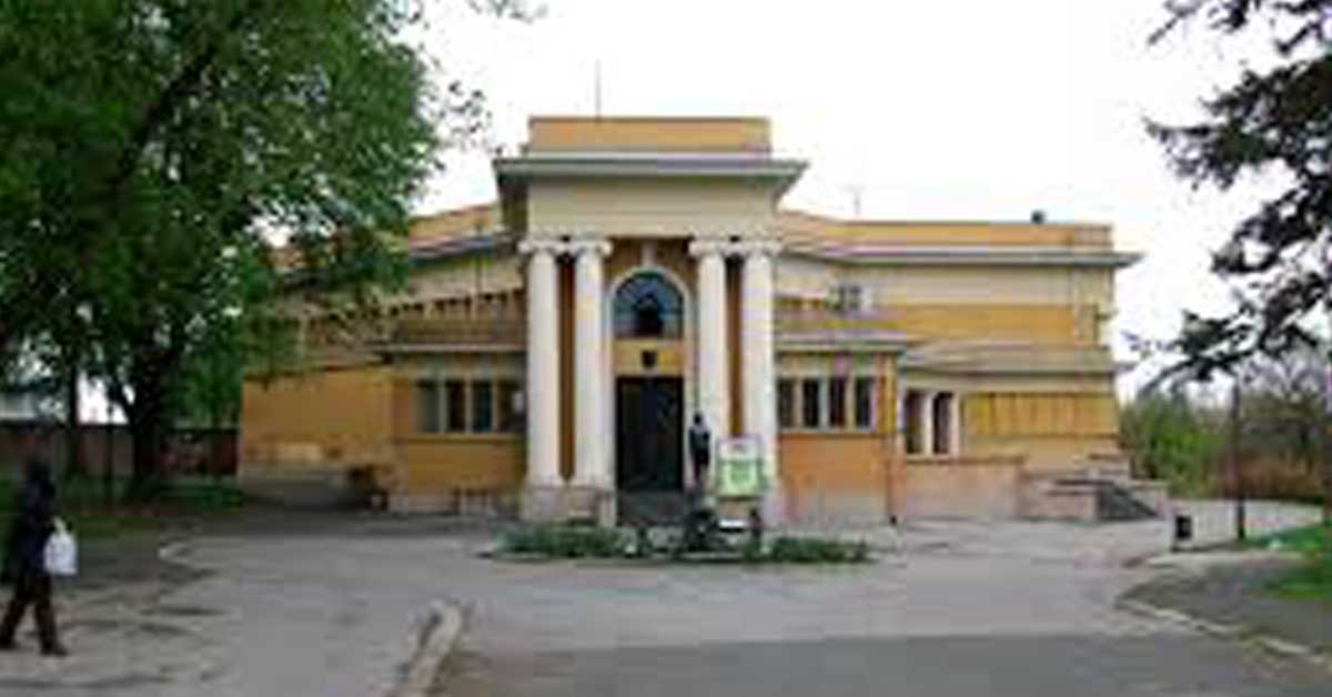 Трезор: Београдски дух заједништва