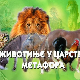 Животиње у царству метафора:	Коњ