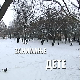 Занимање дете:	Вид и Михаило Вукобратовић