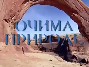 Очима природе: Бљесак скривене лепоте