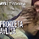 Проклета авлија, ТВ филм
