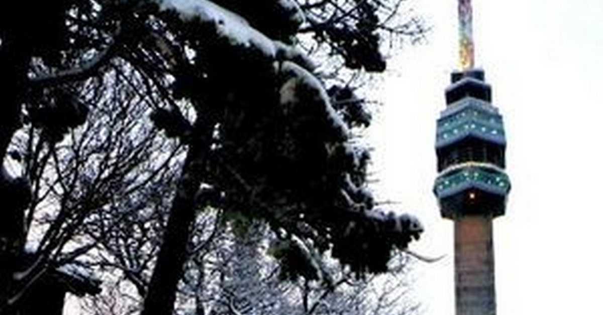 Трезор: У музеју Авалског торња