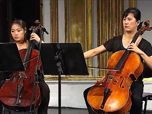 Хваум камерни оркестар, 1. део