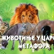 Животиње у царству метафора