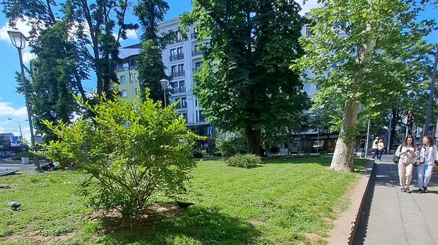 Јутарњи викенд програм