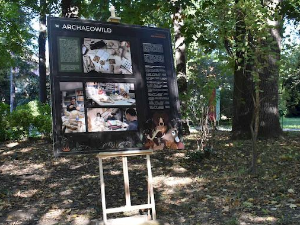 Декодирање науке: Дивљи свет у прошлости Србије