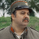 Јагодићи