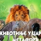 Животиње у царству метафора