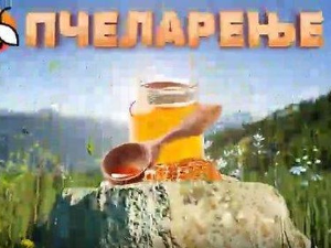 Еко минијатуре: Пчеларење - пчеле и биљни свет