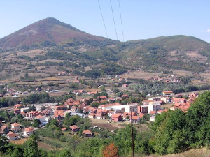 Право на сутра: Аутентично лепо - Лепосавић