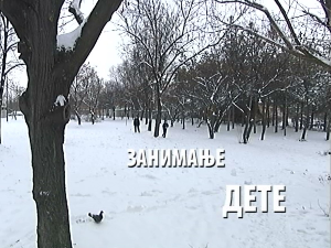 Занимање дете: Павле Андрејевић