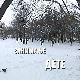 Занимање дете: Јован Гец