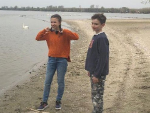 Еко минијатуре: Моменат непажње - инсекти