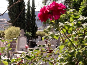 Родославци: Знамења