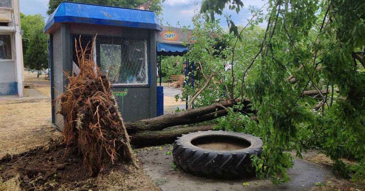 Олујно невреме у Зрењанину, пожари и поломљено дрвеће у Суботици 