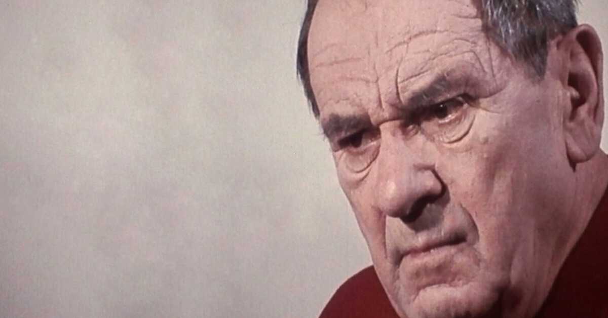 Портрети: Раша Плаовић