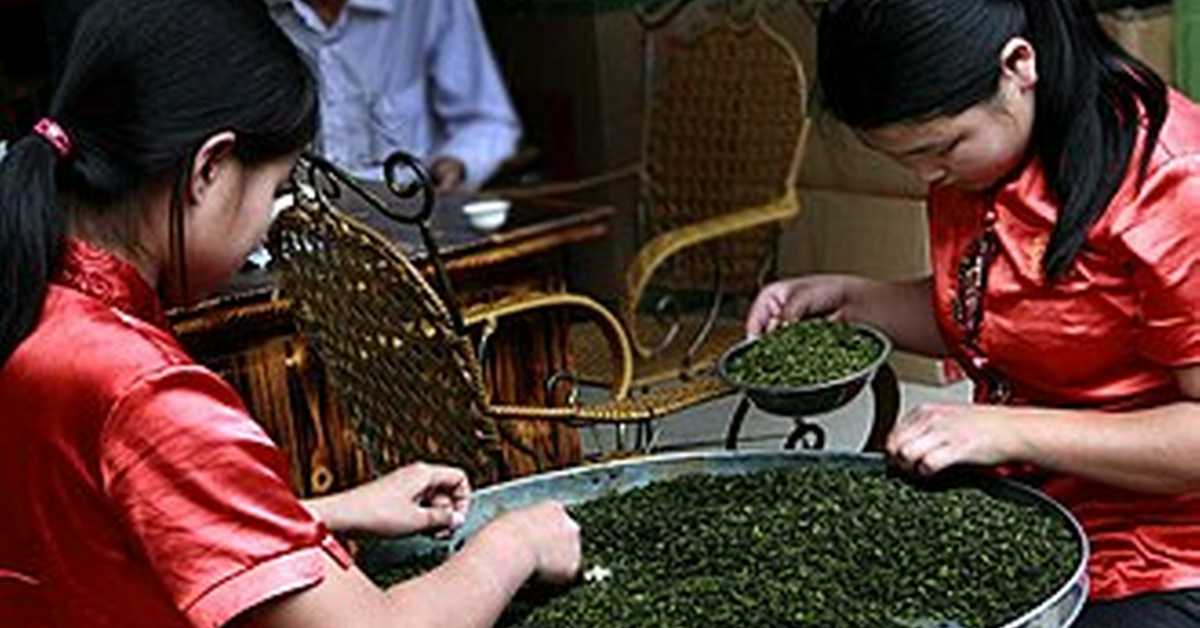 Кинески чај: Кључање воде и припрема чаја, 3-6 