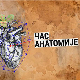 Час анатомије: Културна јавност