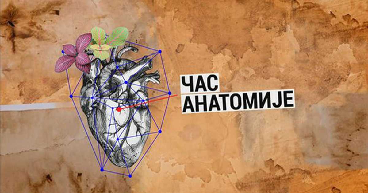 Час анатомије: Културна јавност