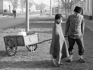 Заводљива телевизија: Креатори серија – ТВ серија Салаш у Малом Риту