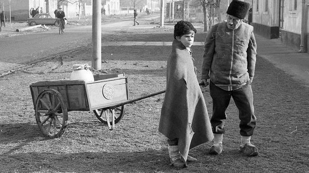 Заводљива телевизија: Креатори серија – ТВ серија Салаш у Малом Риту