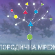 Породична мрежа:	Проблеми