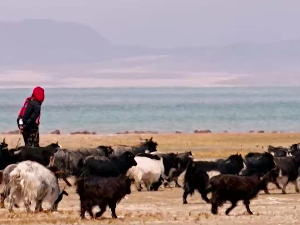 Кина – Кров света, 1-6