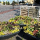 Еко минијатуре: Хајде да мислимо о… – Озелењавање улица