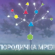 Породична мрежа:	Слика о телу