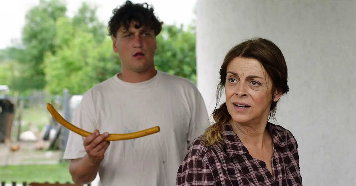 Пси лају ветар носи, 2–11, 2С